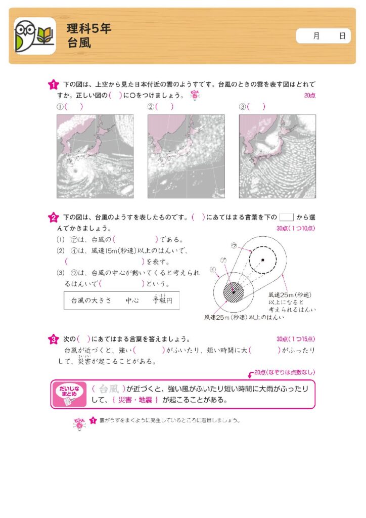 理科5年
台風