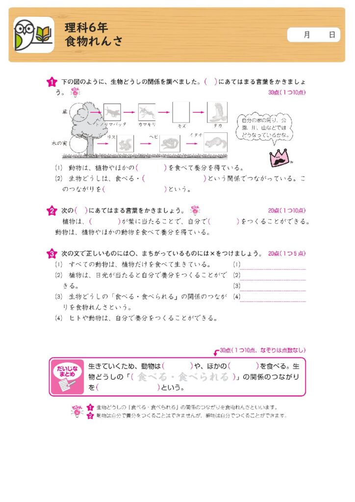 理科6年
食物れんさ