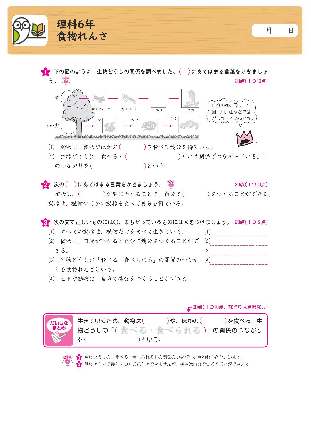 理科6年
食物れんさ