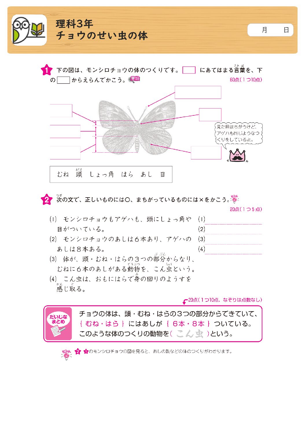 理科3年
チョウのせい虫の体
