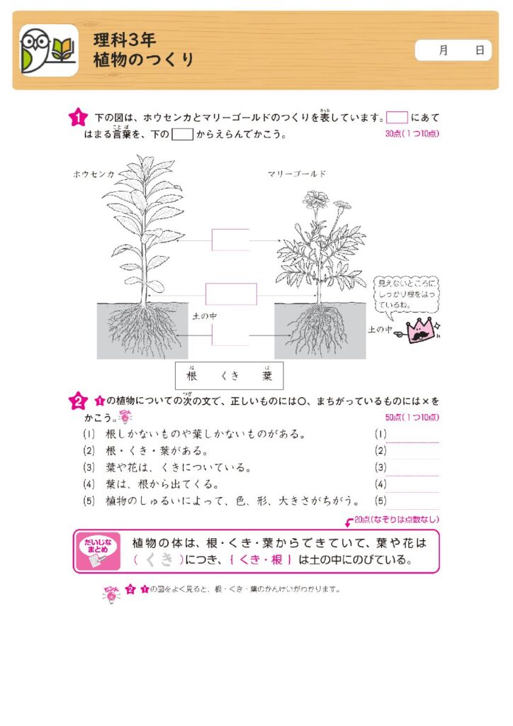 理科3年
植物のつくり