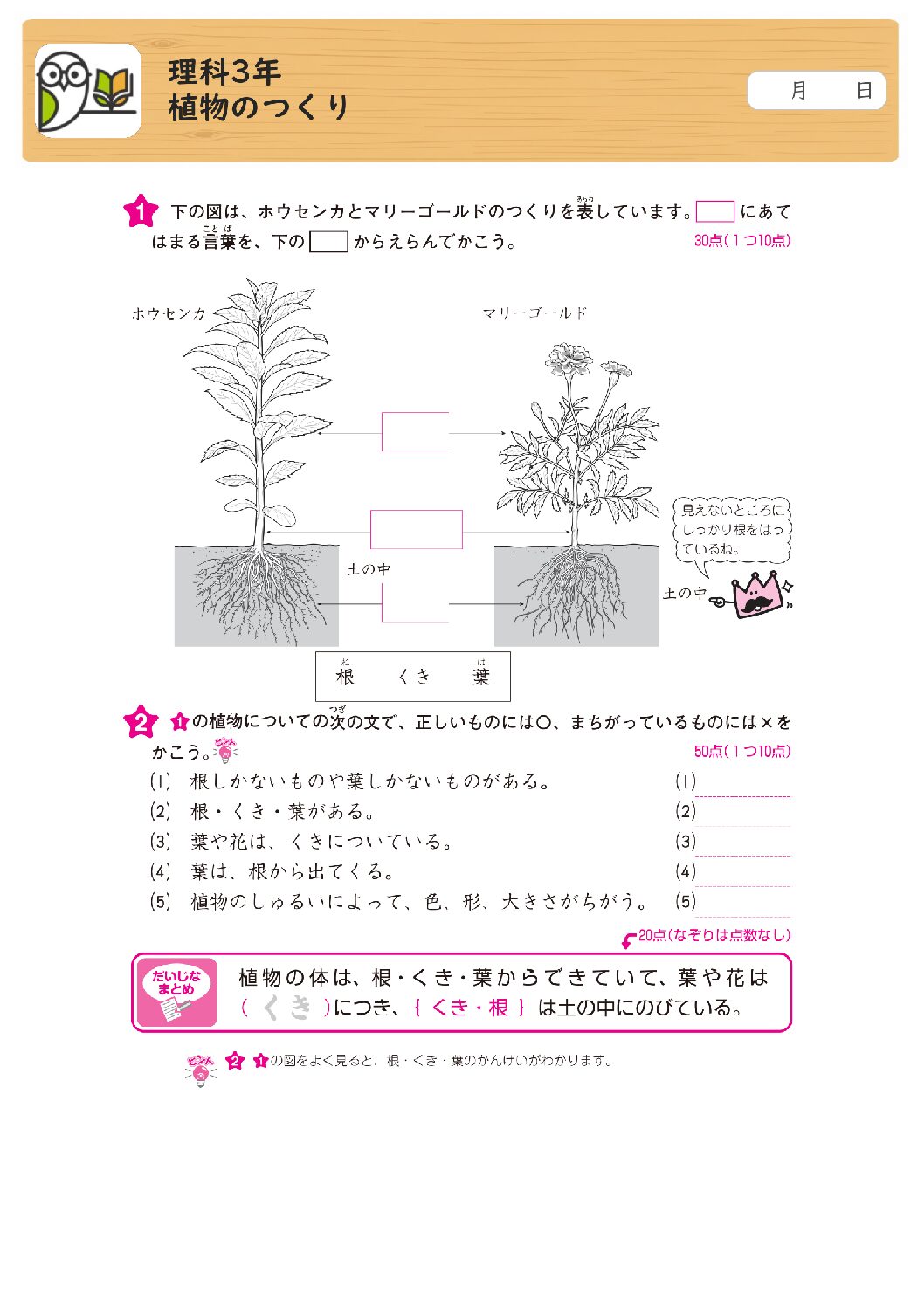 理科3年
植物のつくり