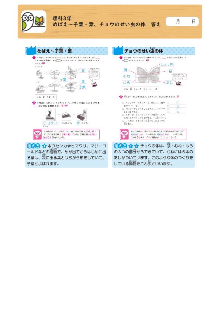 理科3年 
めばえ～子葉・葉、チョウのせい虫の体 答え