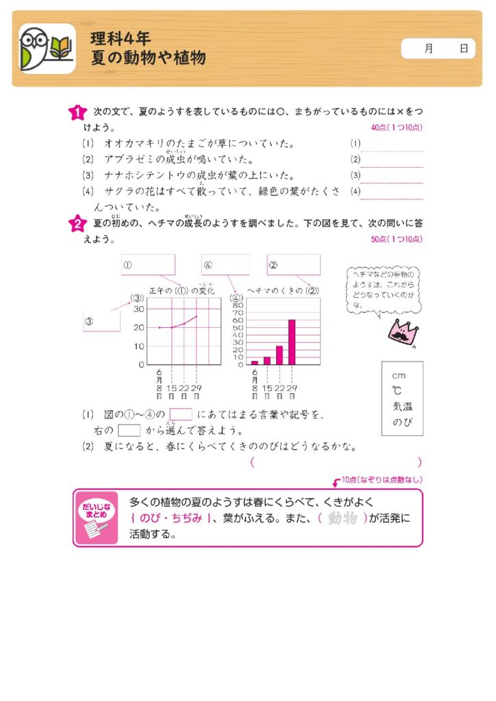 理科4年
夏の動物や植物