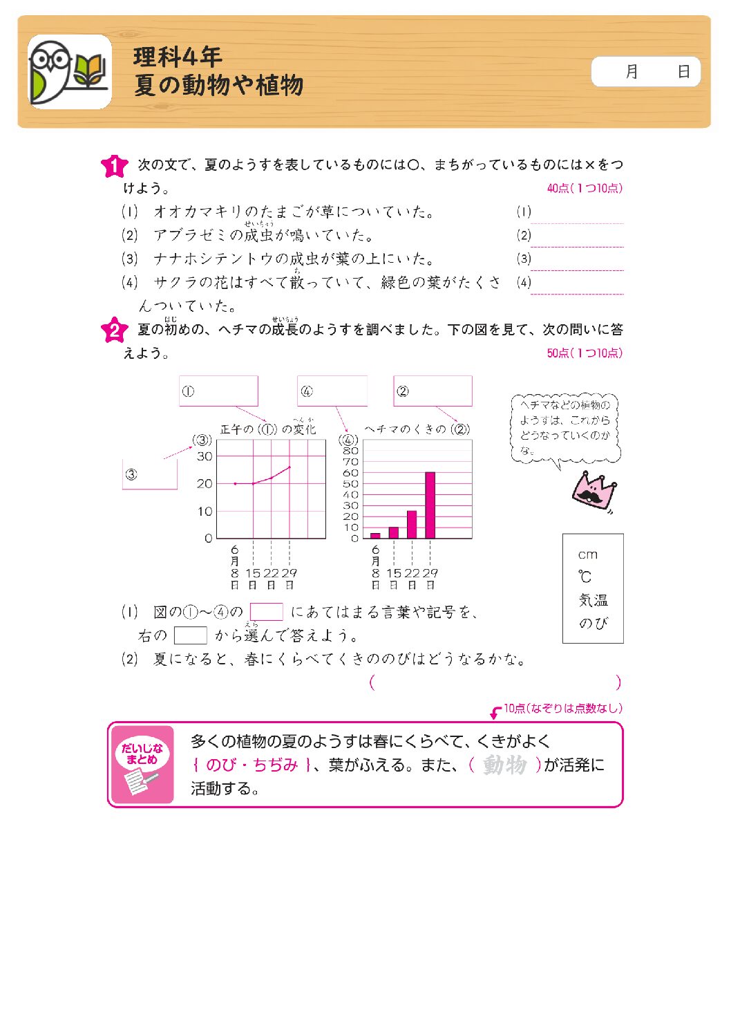理科4年
夏の動物や植物