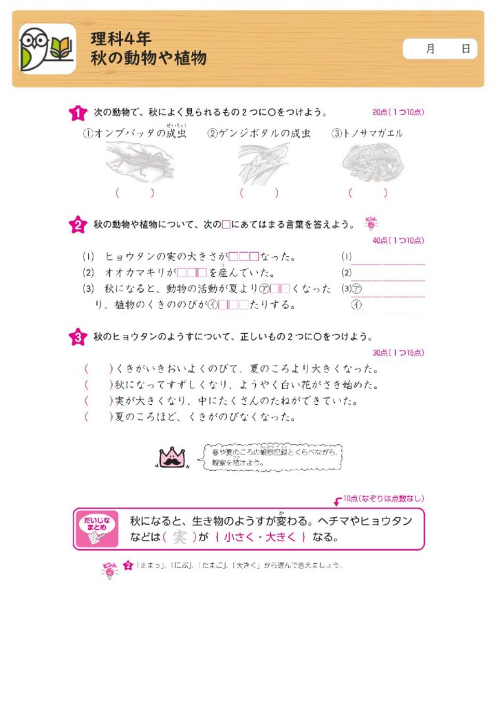 理科4年
秋の動物や植物