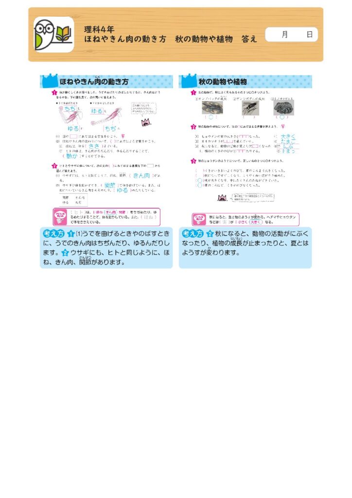 理科4年 
ほねやきん肉の動き方 秋の動物や植物 答え