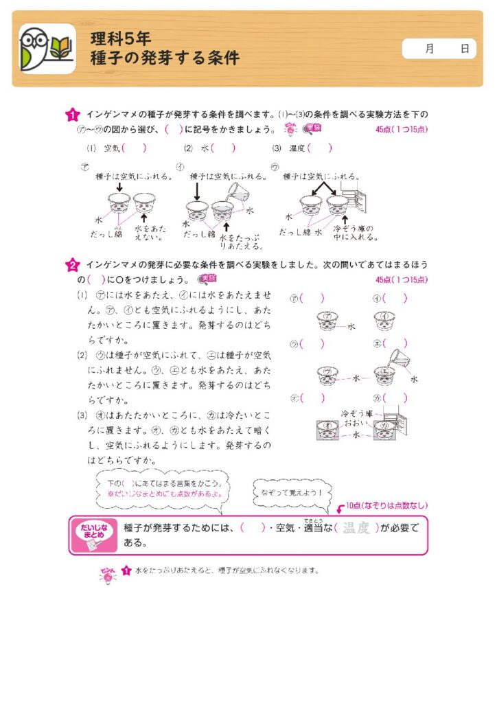 理科5年
種子の発芽する条件