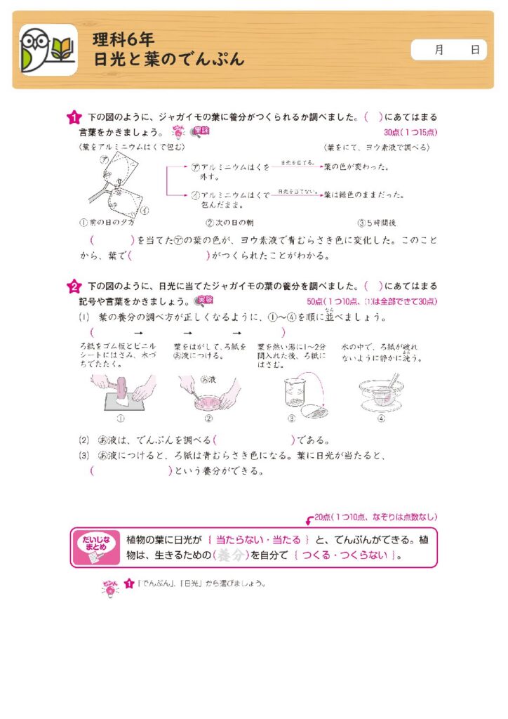 理科6年
日光と葉のでんぷん