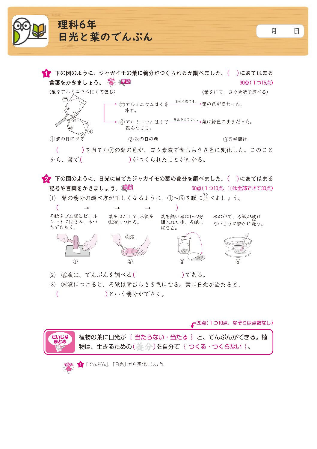 理科6年
日光と葉のでんぷん