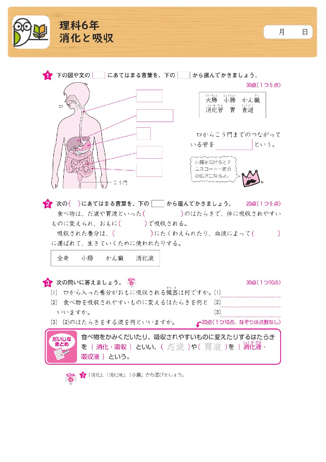 理科6年
消化と吸収