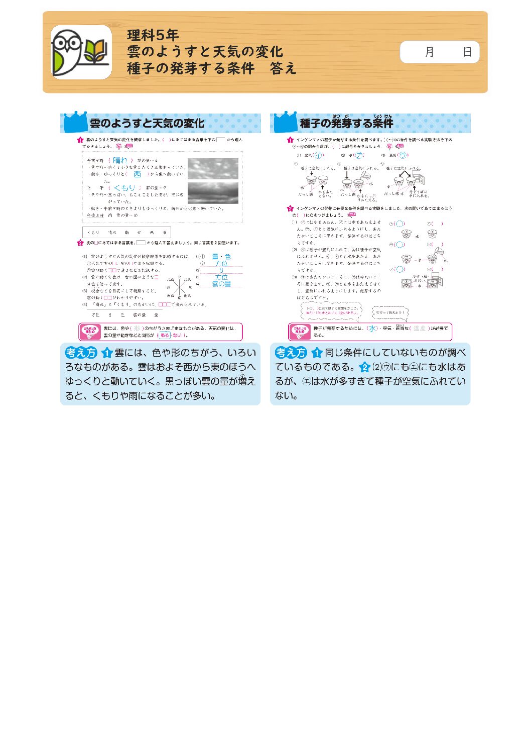 理科5年 
雲のようすと天気の変化 
種子の発芽する条件 答え