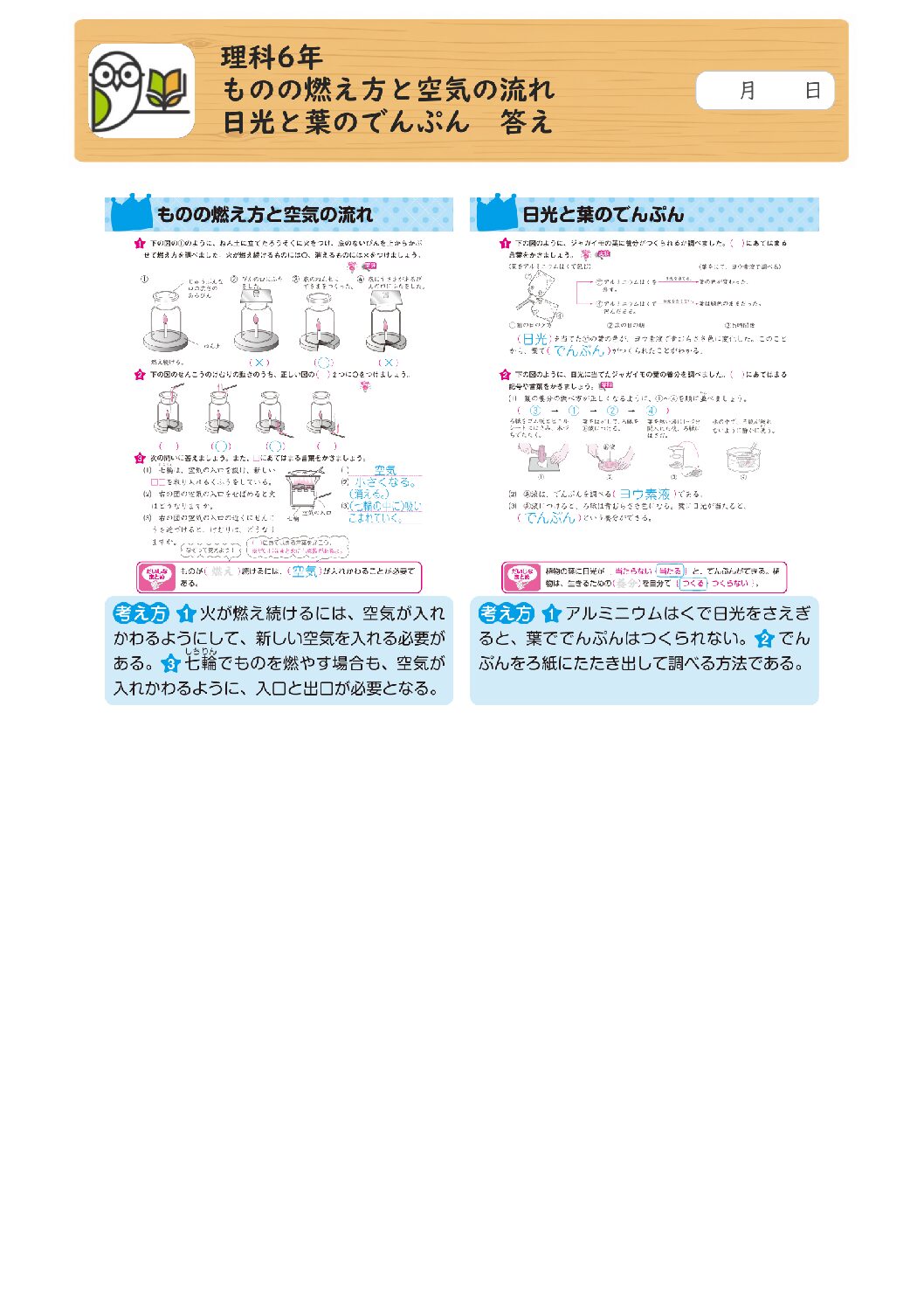 理科6年 
ものの燃え方と空気の流れ 
日光と葉のでんぷん 答え