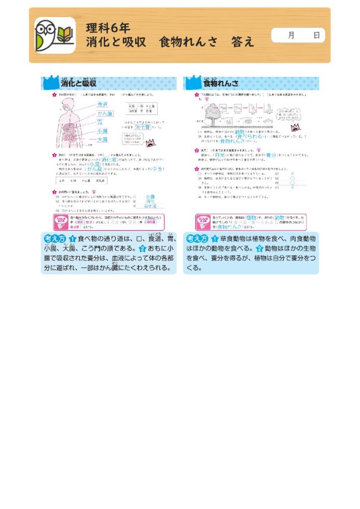 理科6年 
消化と吸収 食物れんさ 答え