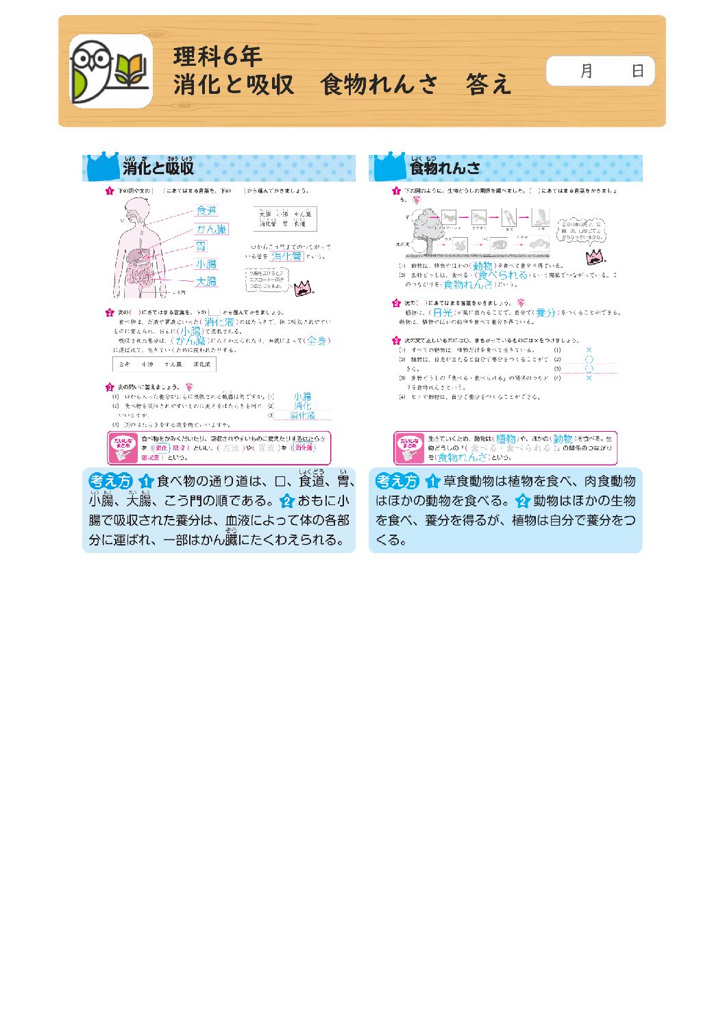 理科6年 
消化と吸収 食物れんさ 答え